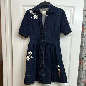 Floral Embroidered Denim Dress